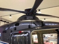 506c54a19fa