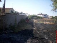 771d35929da